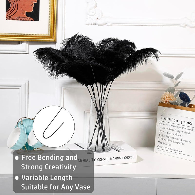 Holmgren Black Ostrich Feathers Bulk - 20pcs Making Kit 22 Inch Natural Ostrich Feathers for Vase, Floral Arrangement, Wedding Party Centerpieces and Halloween Home Decor (Black) - Image 2